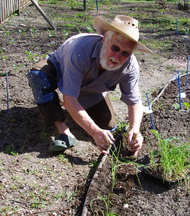 planting onions planting onions