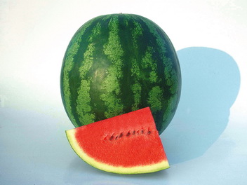 watermelon shiny boy