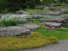 alpine garden