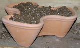 terra cotta, container garden