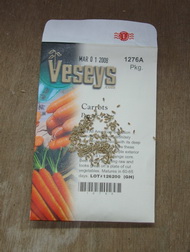 carrot seed