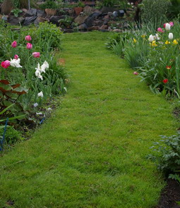 garden path, grass path