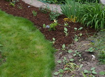 mulch
