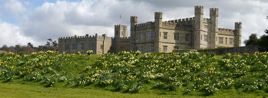 narcissus castle narcissus castle