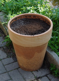 potato pot