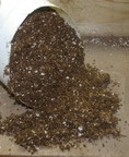potting soil, germination