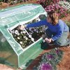 cold frame